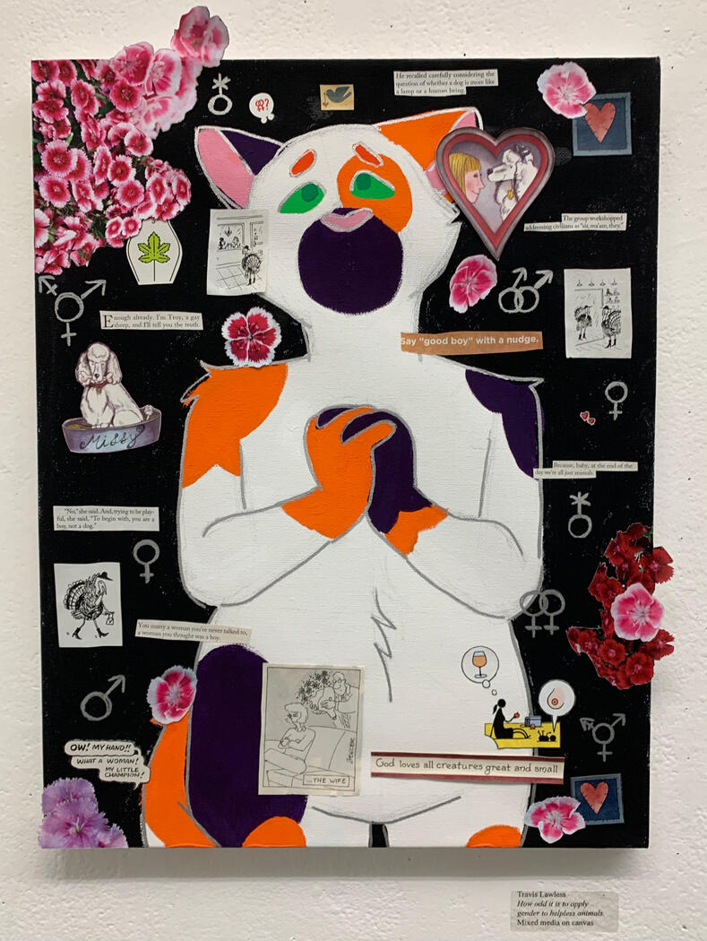 How odd it is to apply gender to helpless animals (2023)