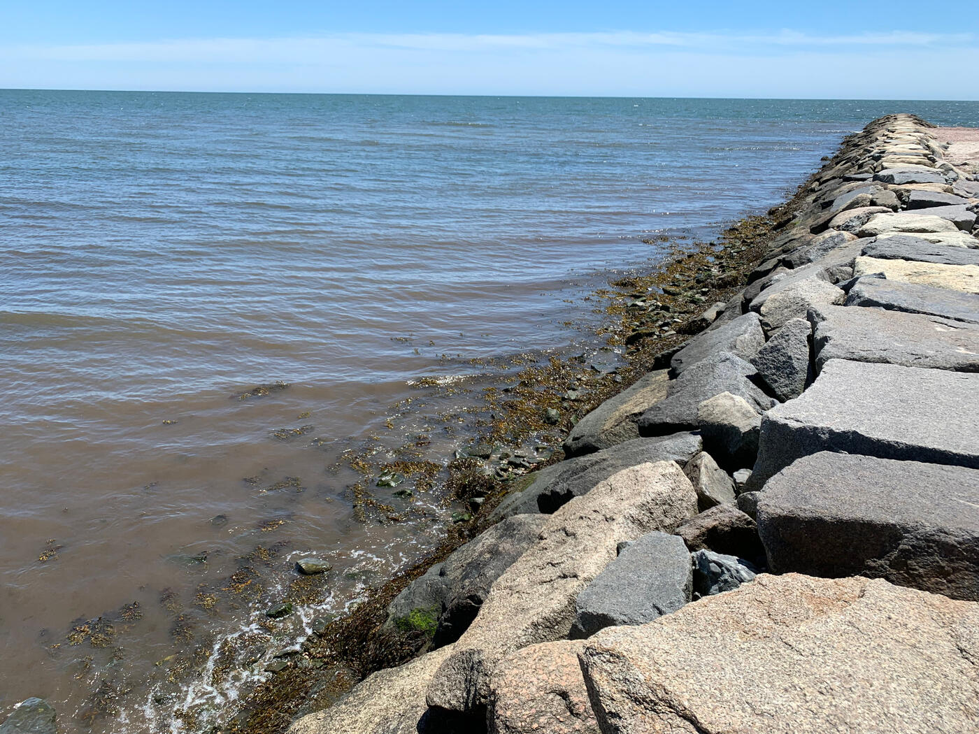 Cape Cod Jetty (2022)